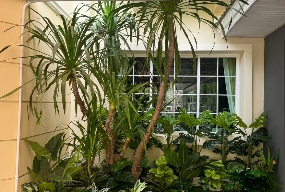 รีวิวจัดสวนบริษัท นิวสตาร์ โฟรเซ่นฟู้ดส์ (ไทยแลนด์) จํากัด