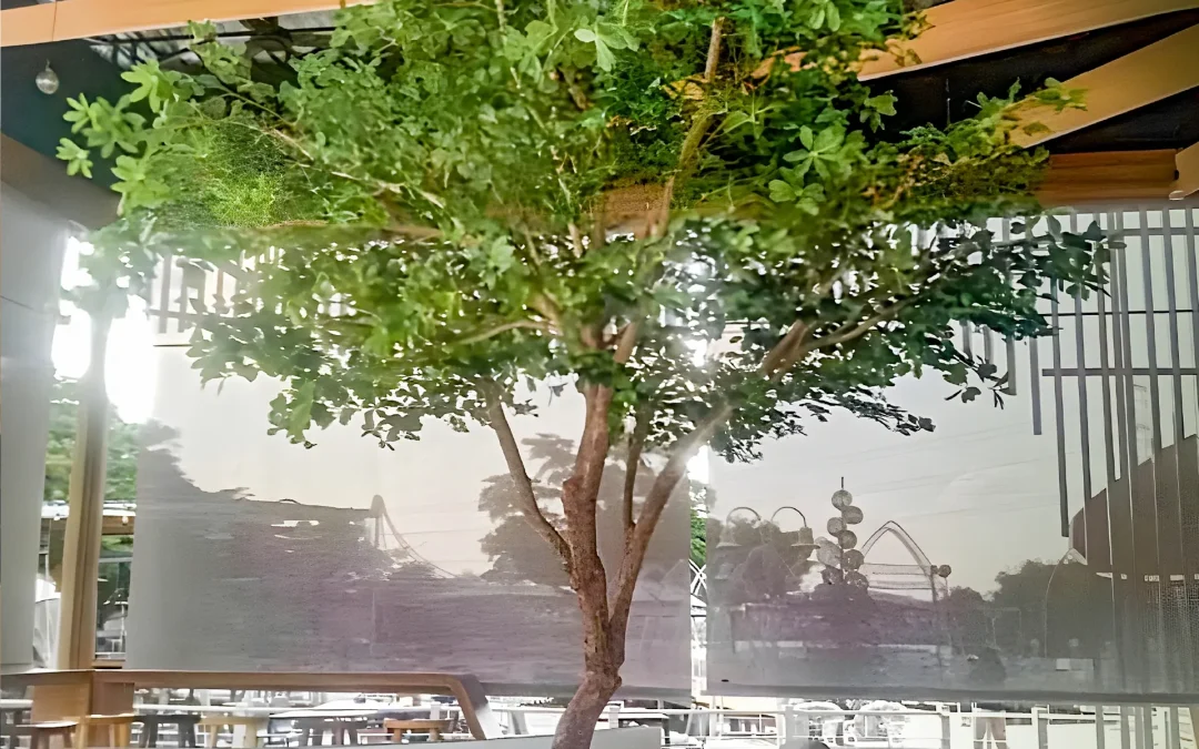 รีวิวหูกระจง ViewDee Relax & Restaurant กทม.