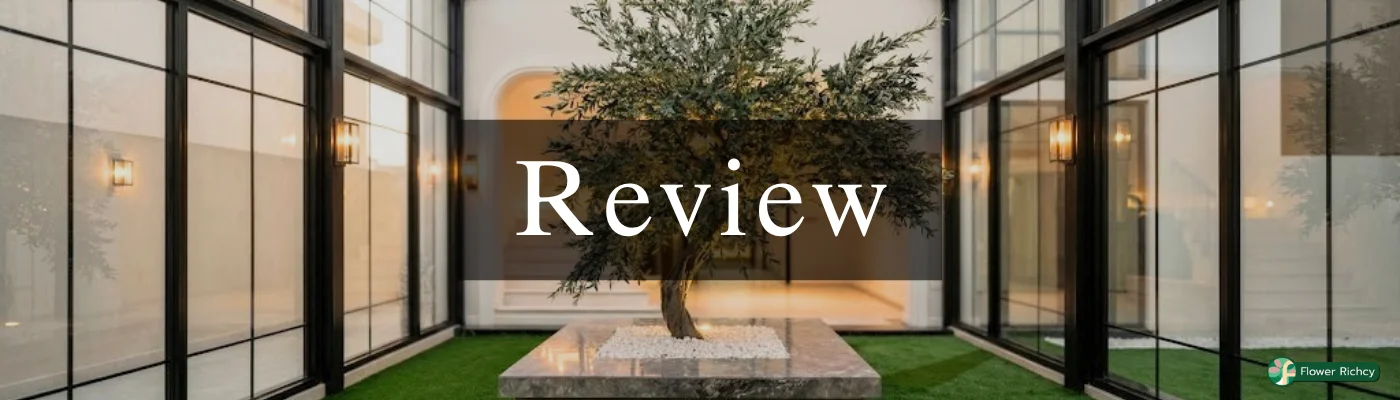 Review-olive-tree1 รีวิวต้นโอลีฟทั้งหมด