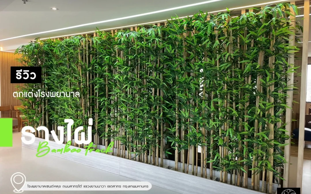 รีวิวรางไผ่ปลอม โรงพยาบาลเซนต์หลุยส์