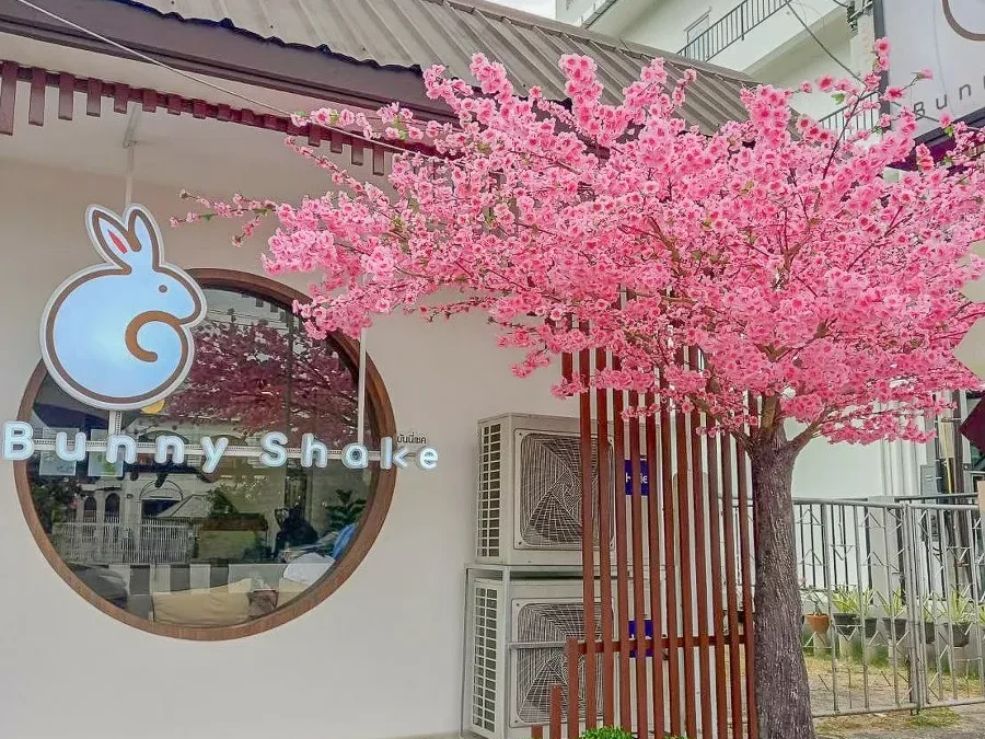 รีวิวซากุระBunny shake cafe ศรีราชา ชลบุรี