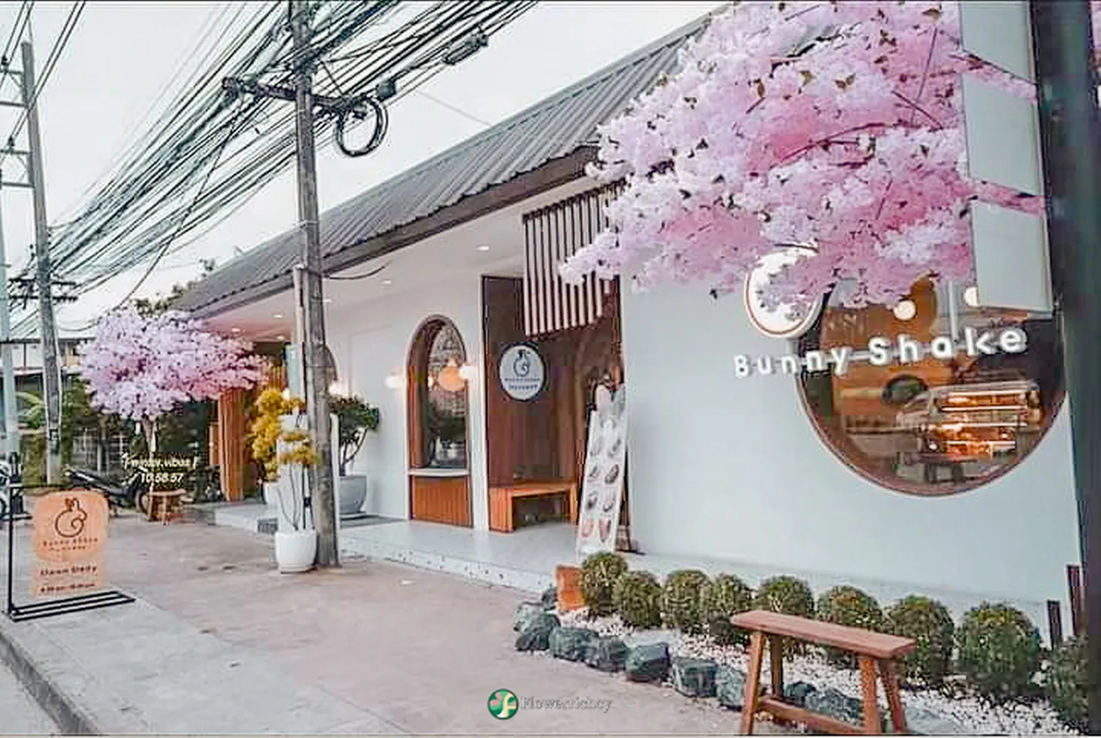 ผลงานติดตั้งต้นซากุระปลอม Bunny Shake Cafe
