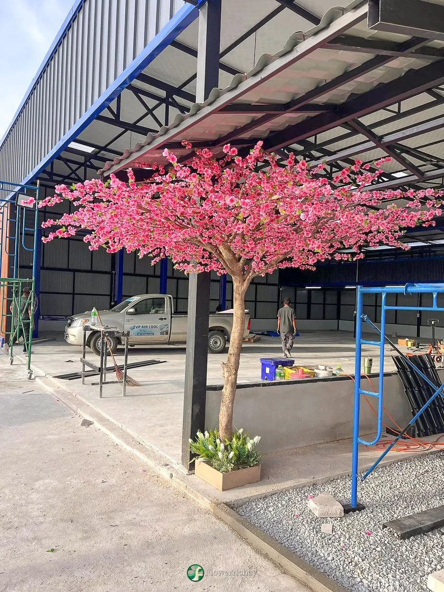 ดอกซากุระโทนสีชมพูสด ไล่เฉดสีกลีบดอกอ่อน-เข้มแซมใบเขียวธรรมชาติ