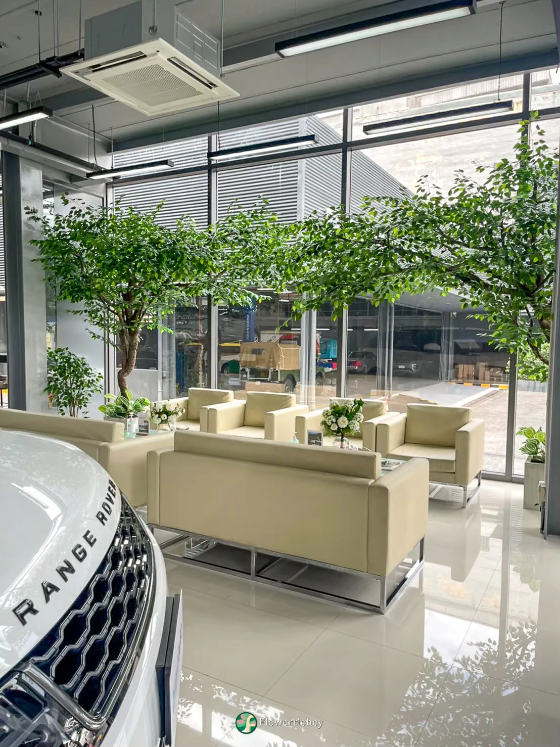 ผลงานติดตั้งต้นไทรแก้วปลอม Showroom Bravo Auto