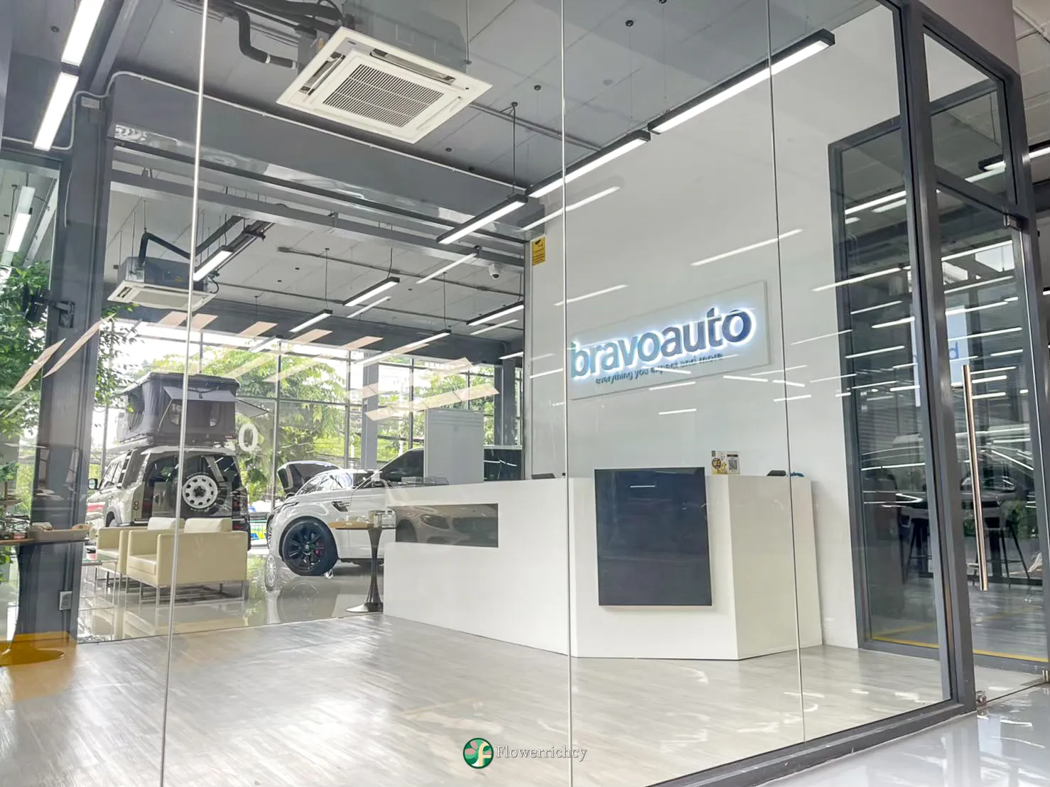 ต้นไทรแก้วปลอมขนาดใหญ่ 2 ต้น ตกแต่งขนาบโซฟารับรองแขก โชว์รูม Bravo Auto โดย Flower richcy