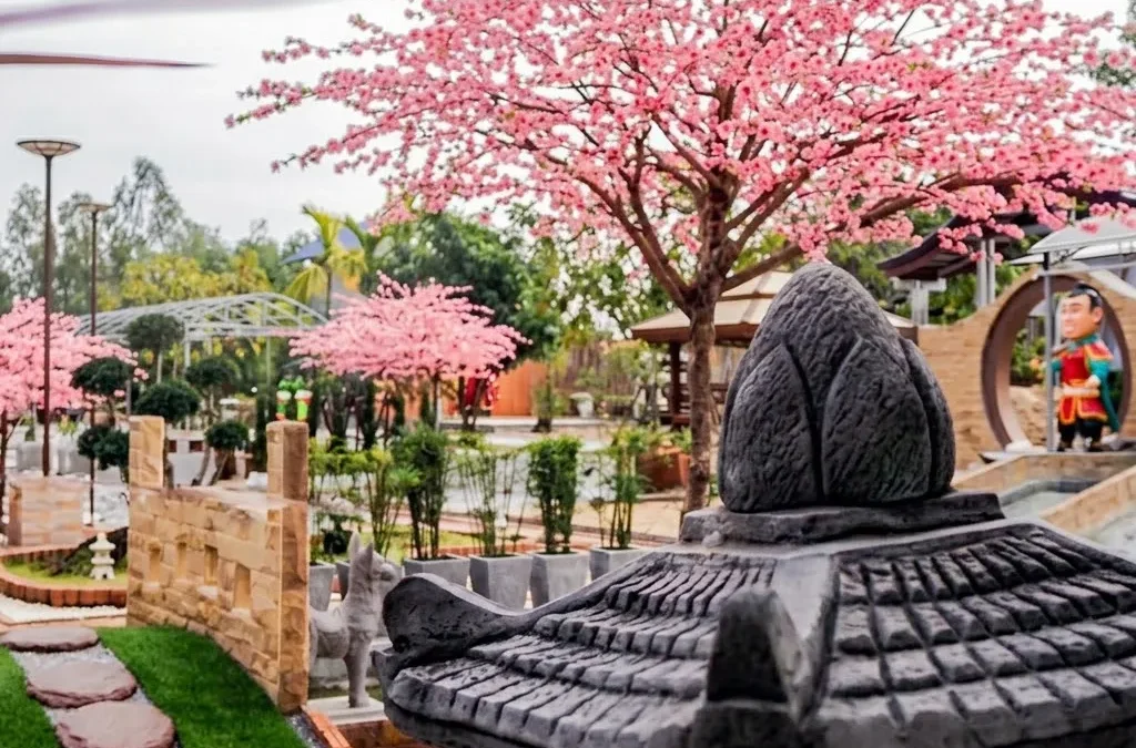 รีวิวซากุระปลอม สวนเกษตรอินทรีย์ แปะเก่ง, นครสวรรค์