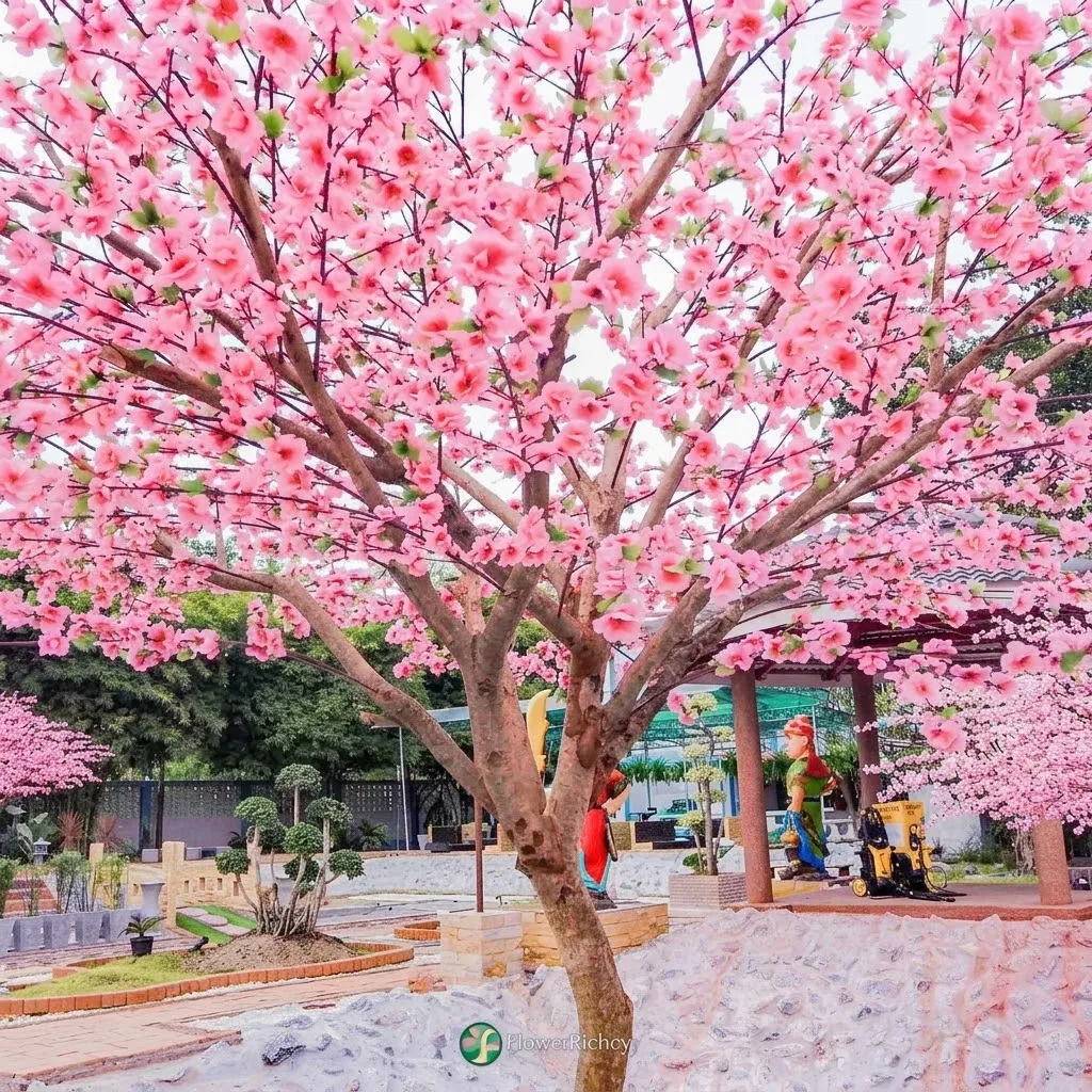 บริเวณ:สวนเกษตรอินทรีย์ แปะเก่ง อ.เมืองจ.นครสวรรค์