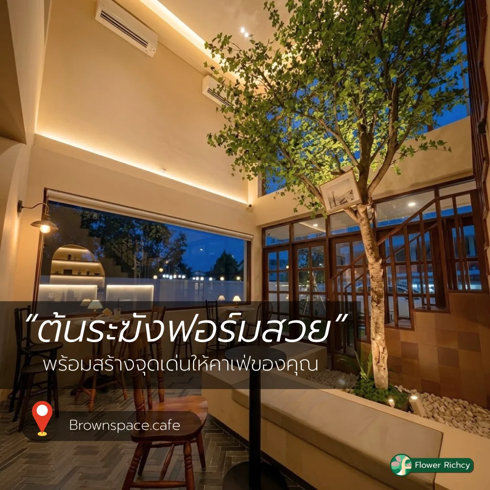 ต้นระฆังญี่ปุ่นปลอมสูง 4 เมตร ติดตั้งบริเวณโถงบันไดคาเฟ่ Brownspace.cafe โดย Flower Richcy
